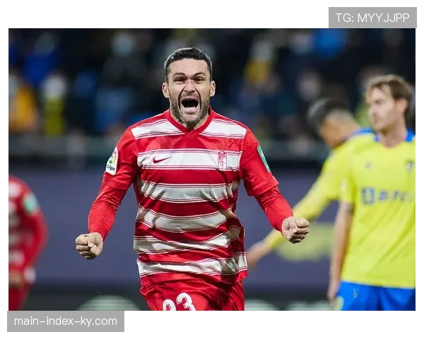 埃尔切攻防表现均衡 进球23失20展现中游稳定性